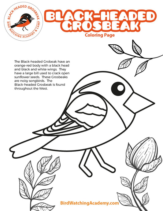 Black-headed Grosbeak Coloring Page