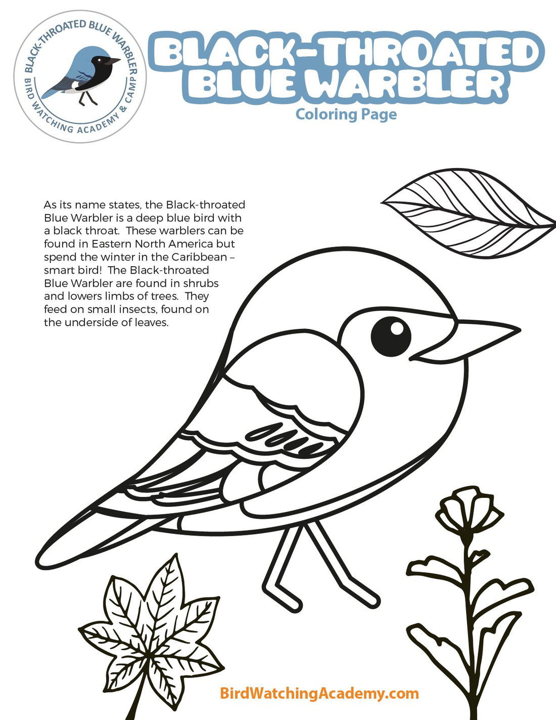 Black-throated Blue Warbler Coloring Page