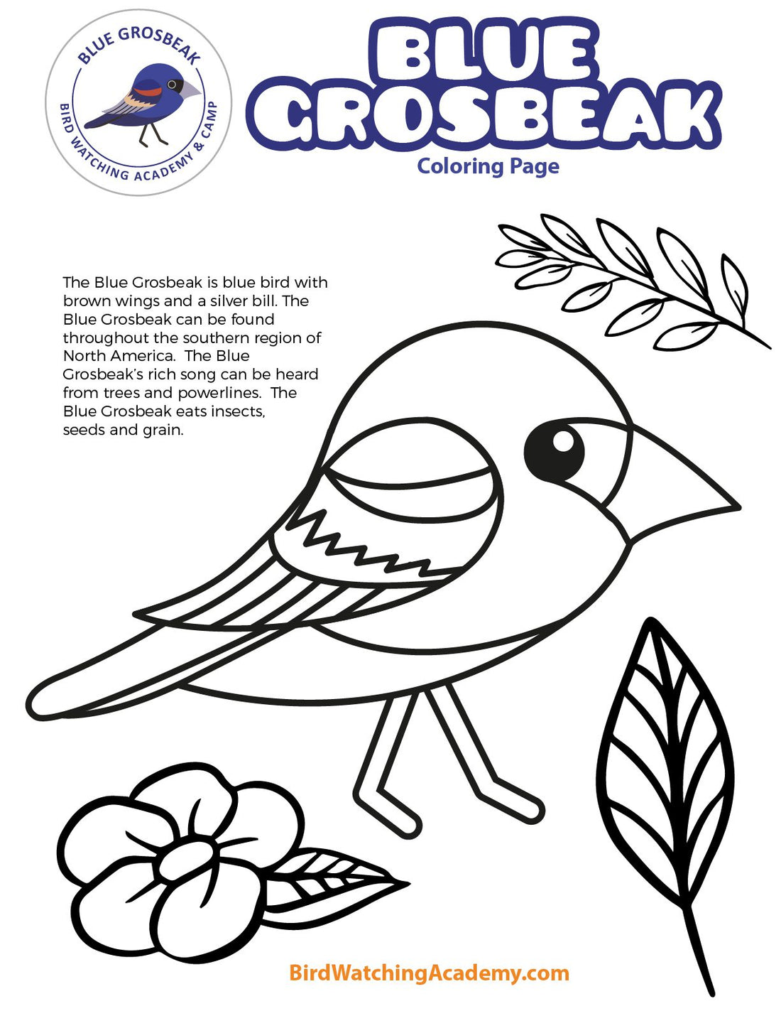 Blue Grosbeak Coloring Page