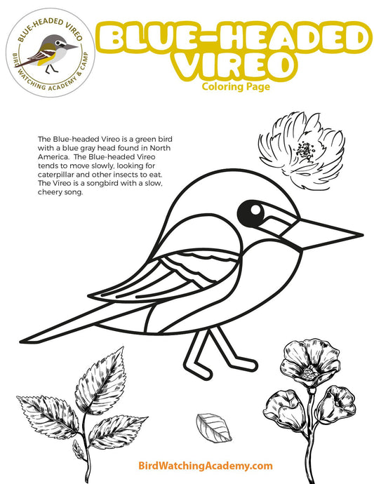 Blue-headed Vireo Coloring Page