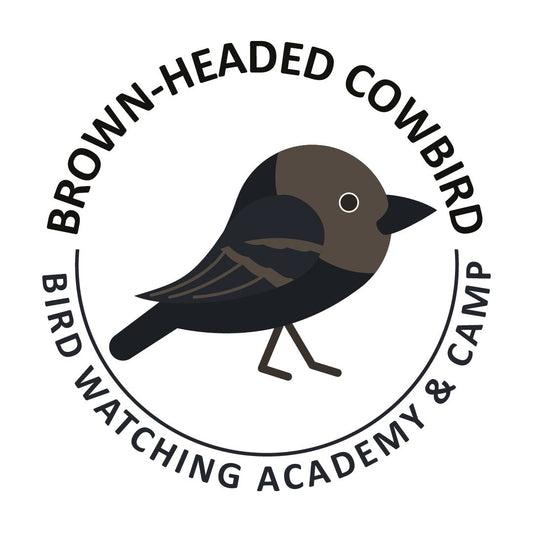 Brown-headed Cowbird