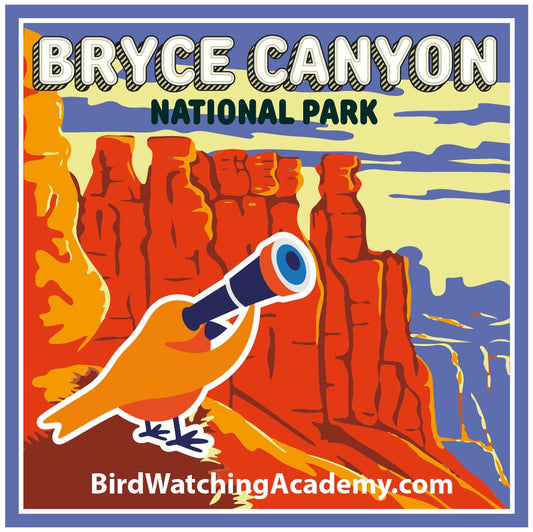 Bird Watching at Bryce Canyon National Park