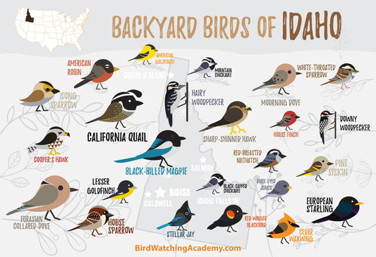 Backyard Birds of Idaho