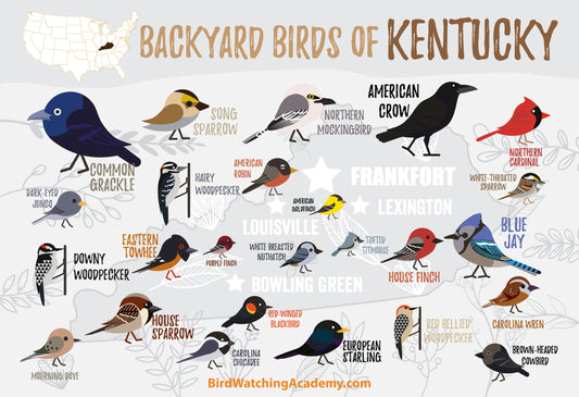 Backyard Birds of Kentucky