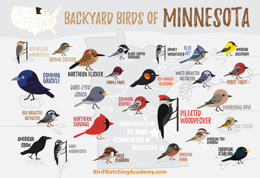 Backyard Birds of Minnesota