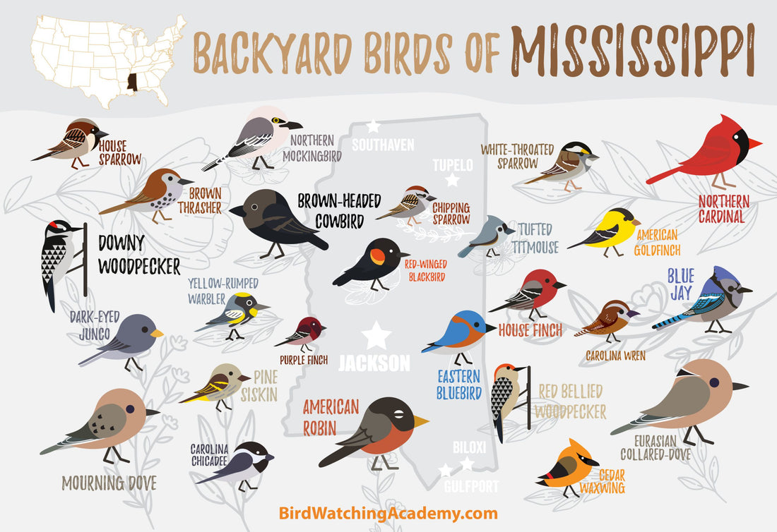 Backyard Birds of Mississippi