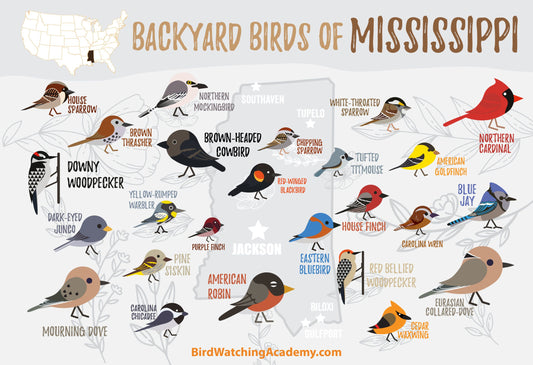 Backyard Birds of Mississippi