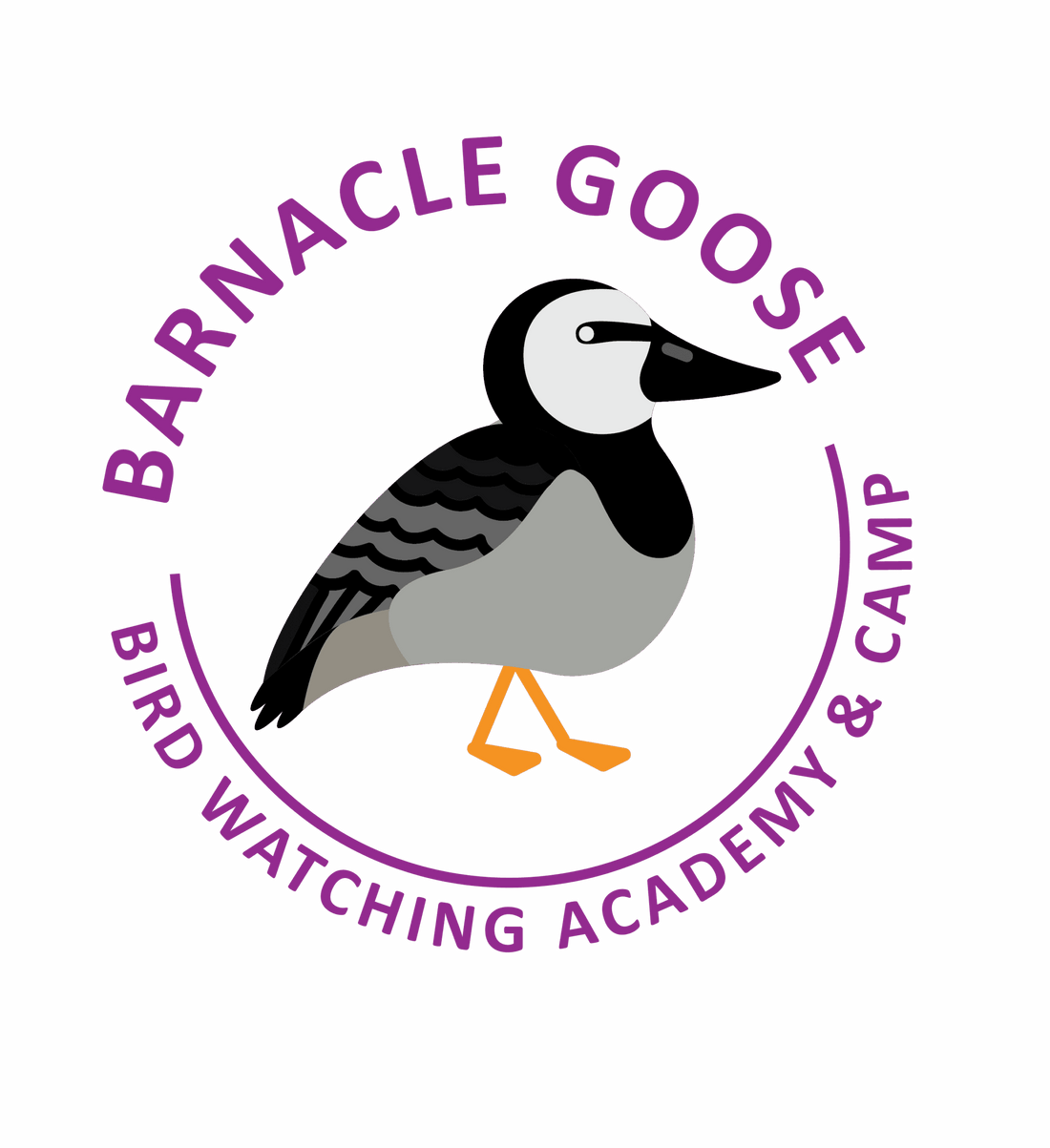 Barnacle Goose