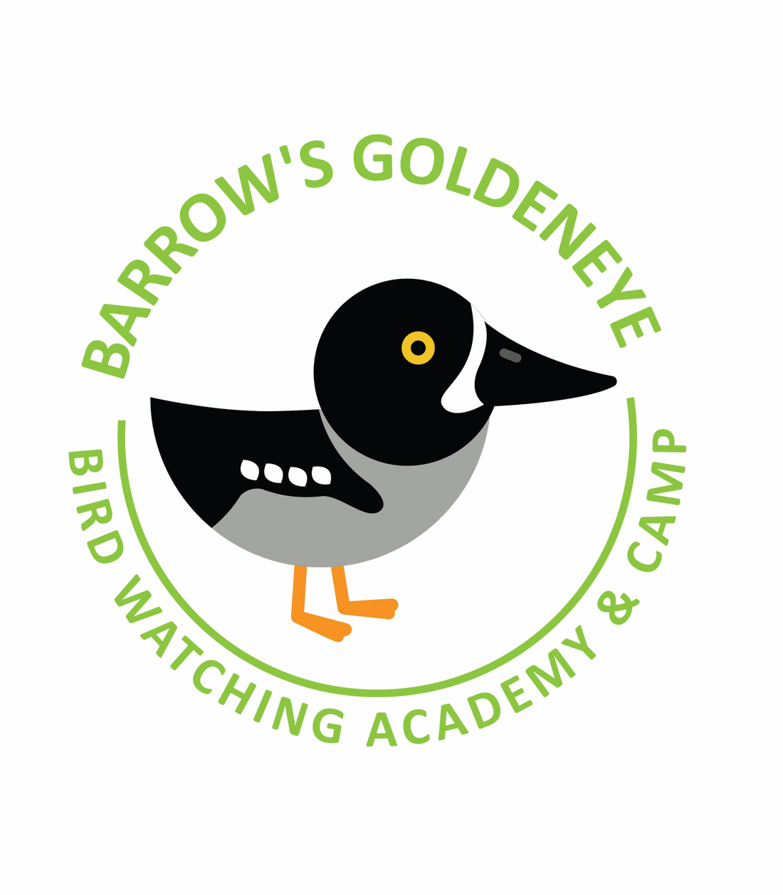 Barrow’s Goldeneye