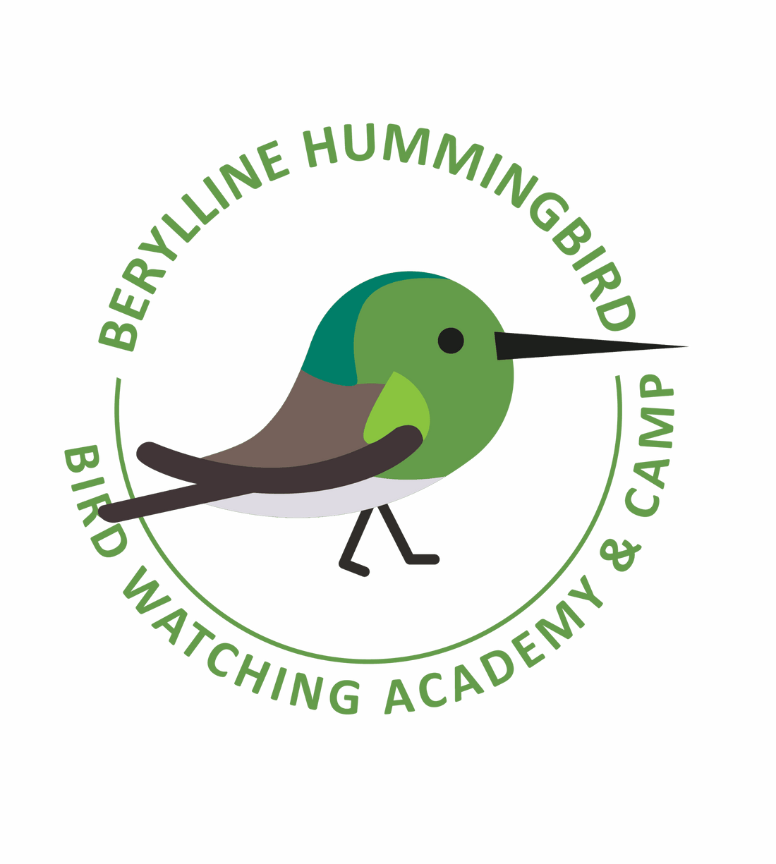 Berylline Hummingbird