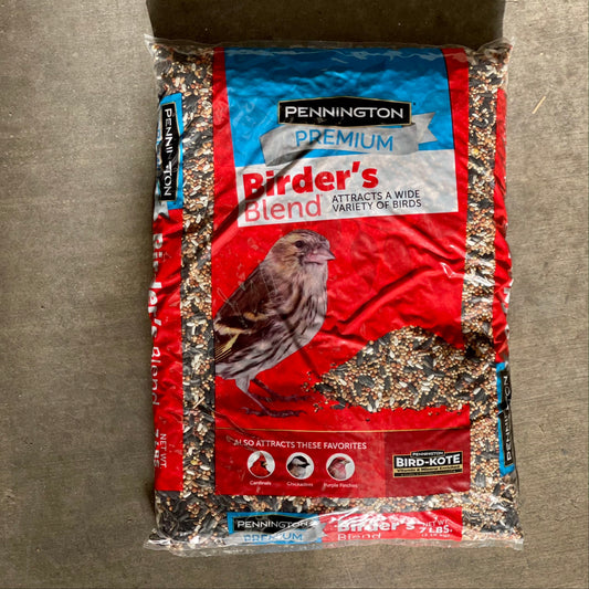 Everything You Need to Know About Bird Seeds