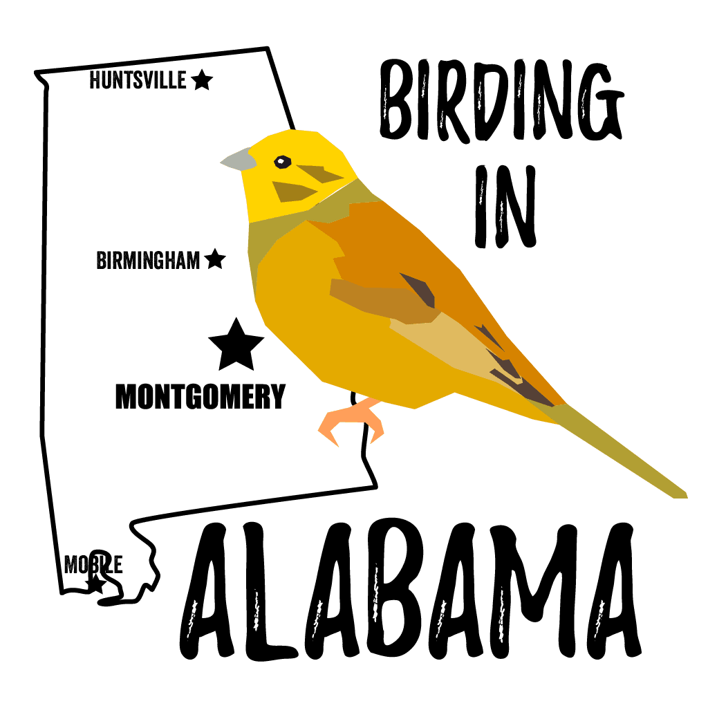 Birds in Alabama