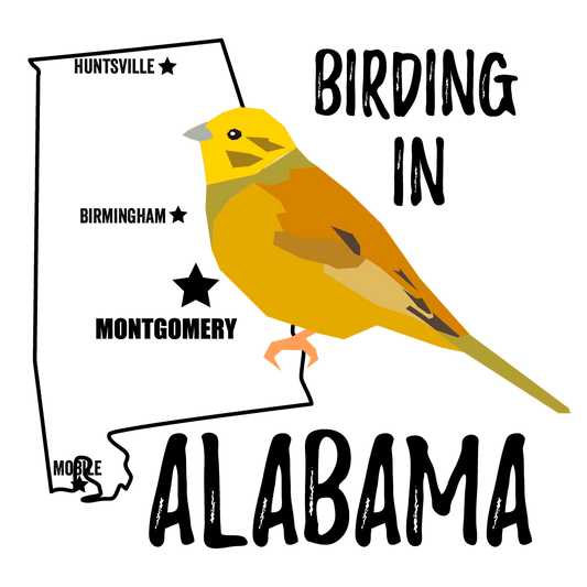 Birds in Alabama