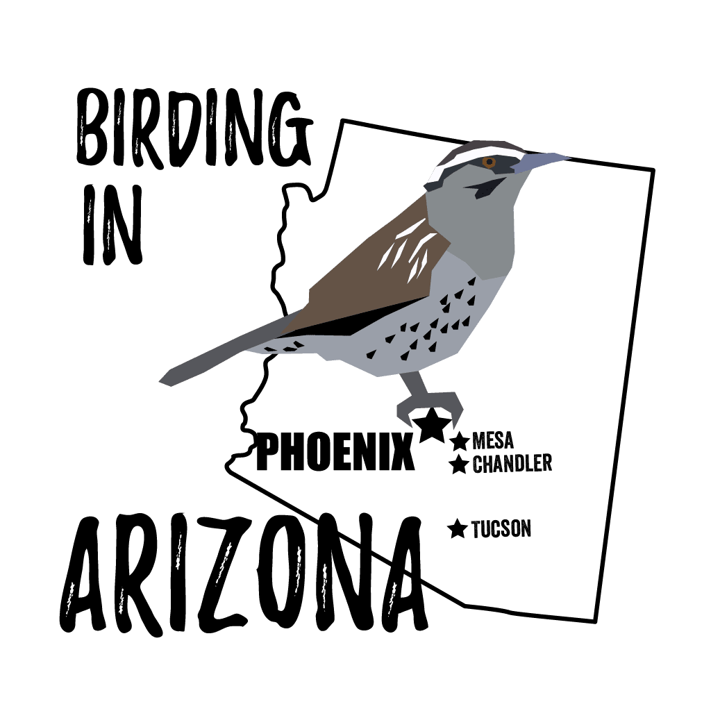Birds in Arizona