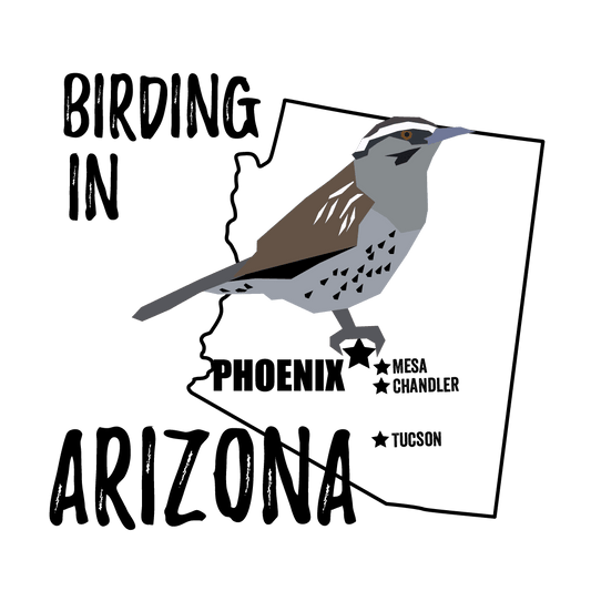 Birds in Arizona