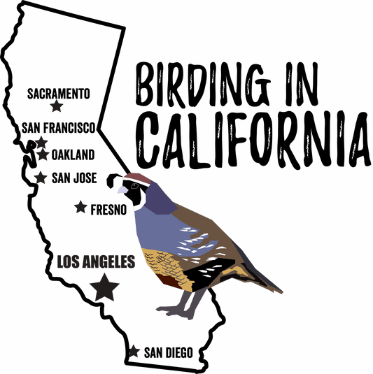 Birds in California