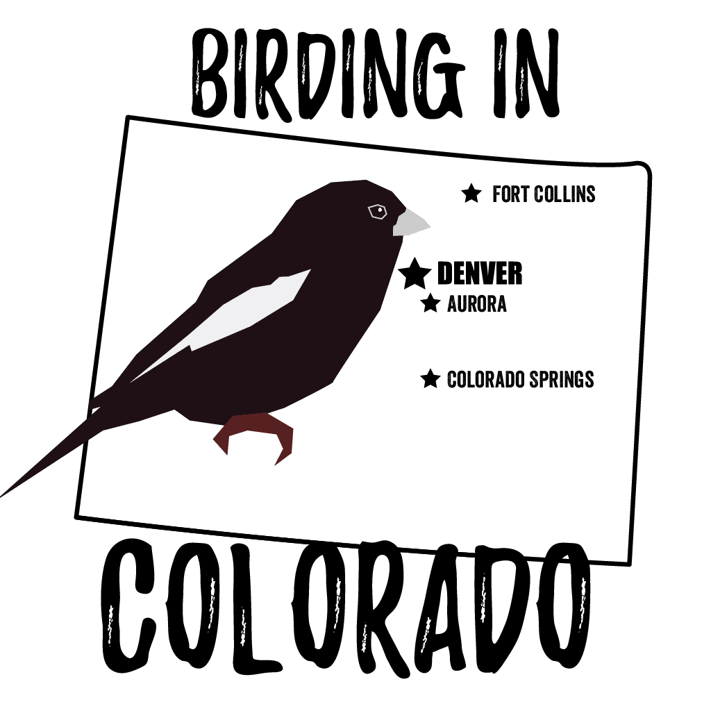 Birds in Colorado