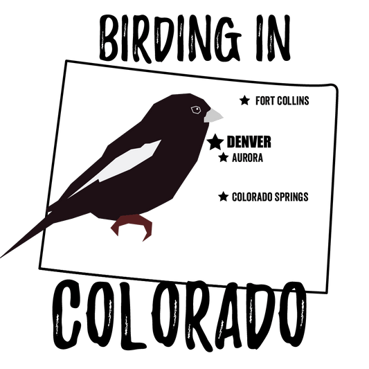Birds in Colorado