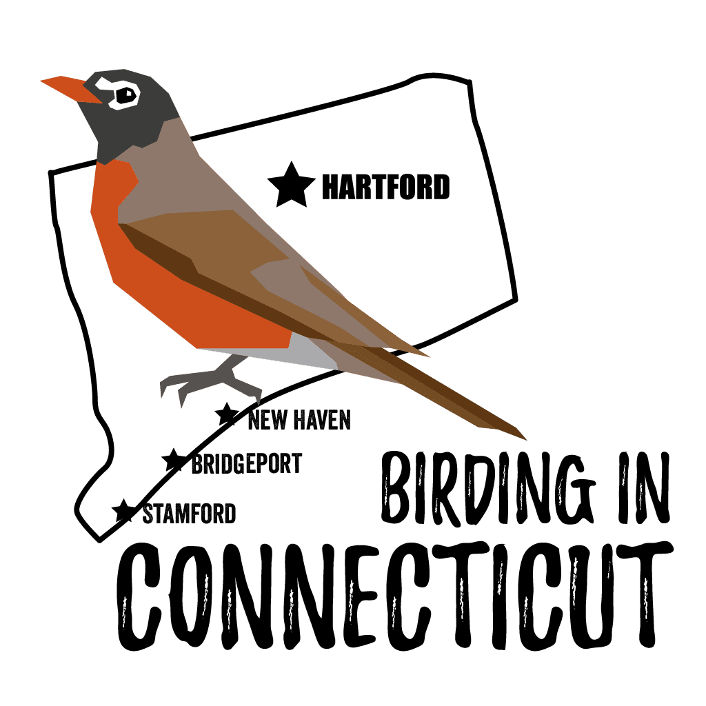 Birds in Connecticut