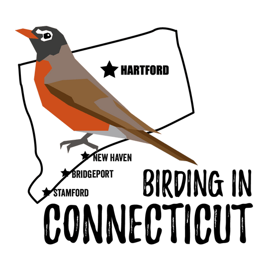 Birds in Connecticut