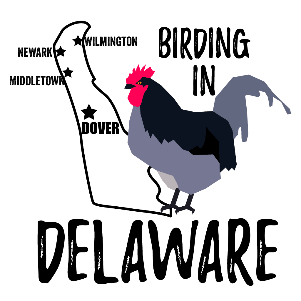 Birds in Delaware