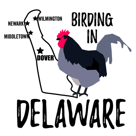 Birds in Delaware