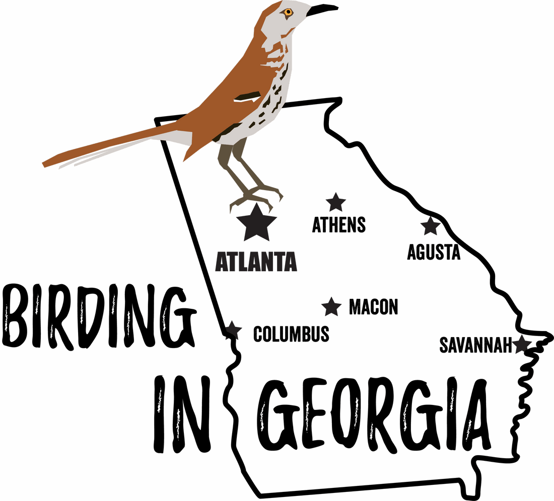 Birds in Georgia