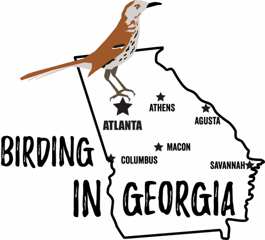 Birds in Georgia