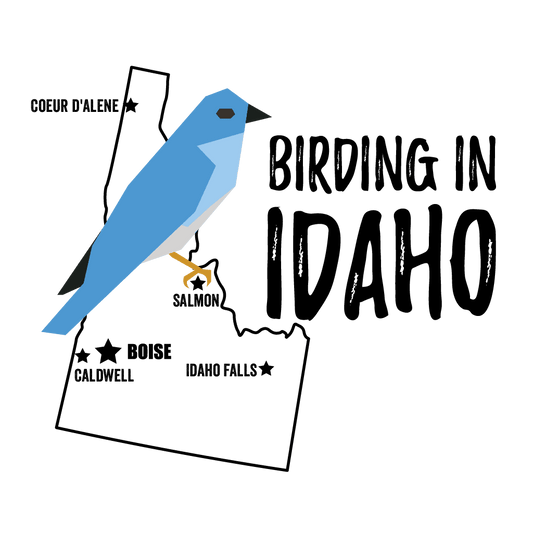 Birds in Idaho