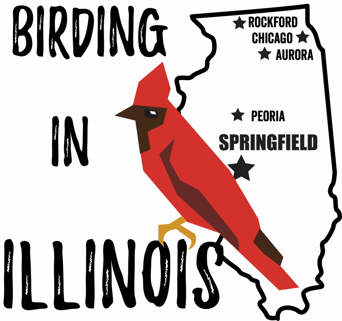 Birds in Illinois