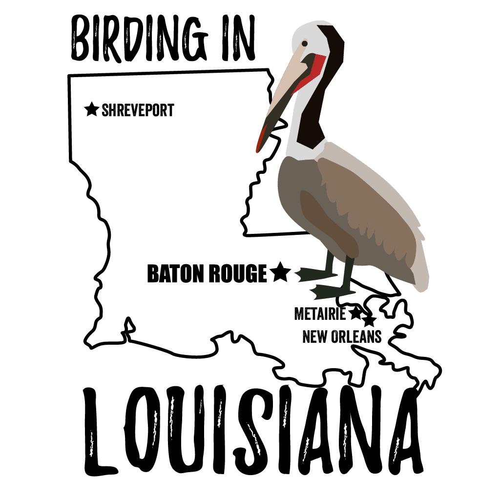 Birds in Louisiana