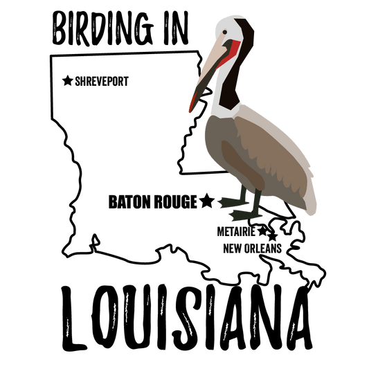 Birds in Louisiana