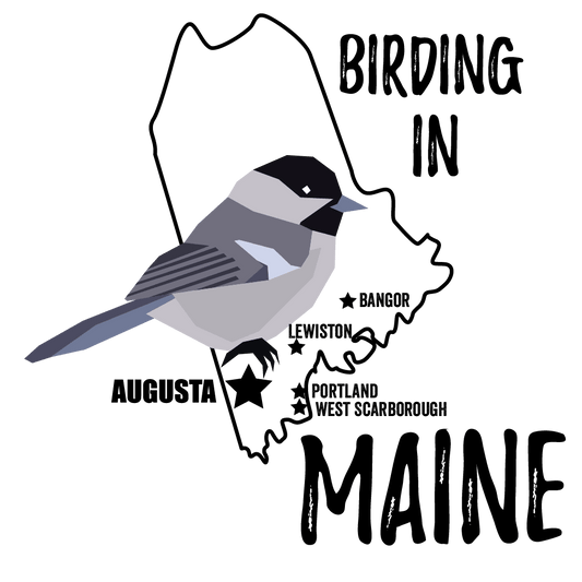 Birds in Maine