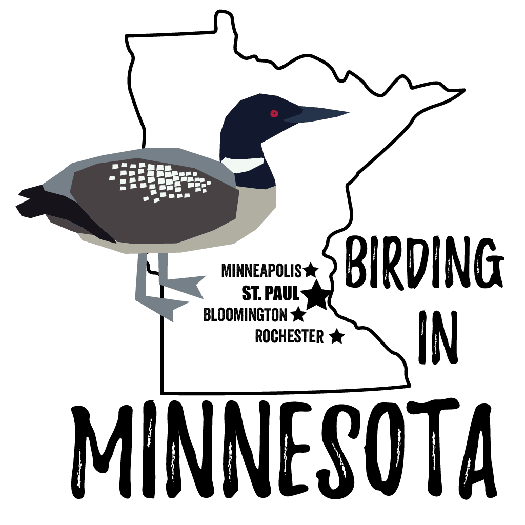 Birds in Minnesota