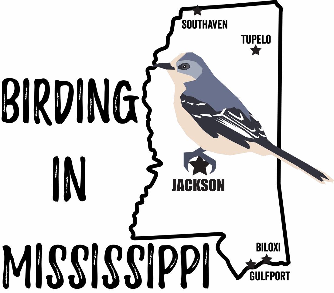Birds in Mississippi