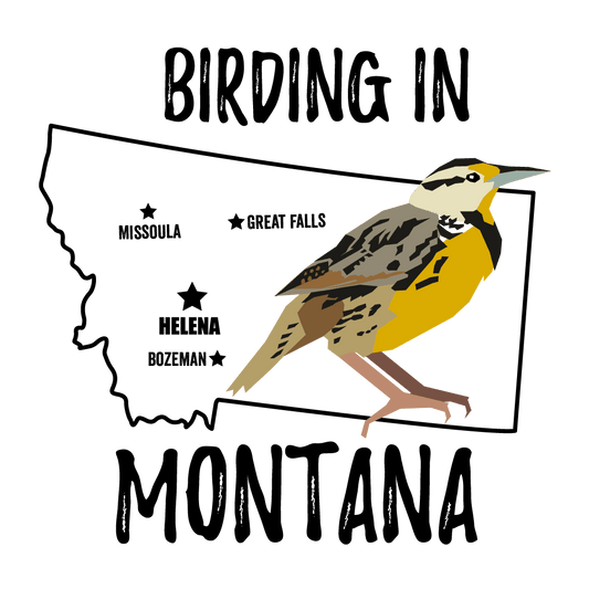 Birds in Montana