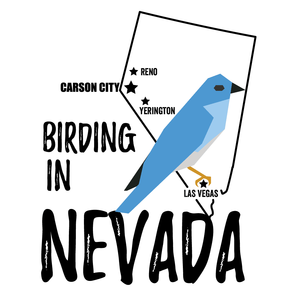 Birds in Nevada