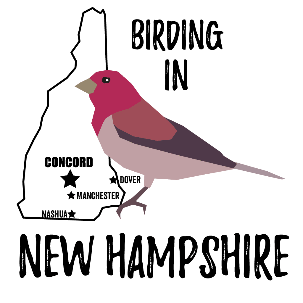 Birds in New Hampshire