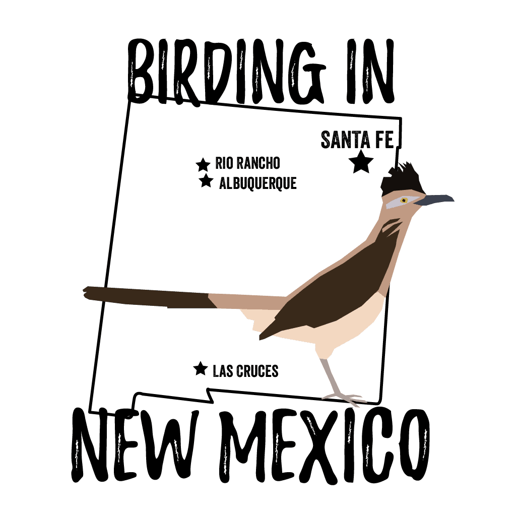 Birds in New Mexico