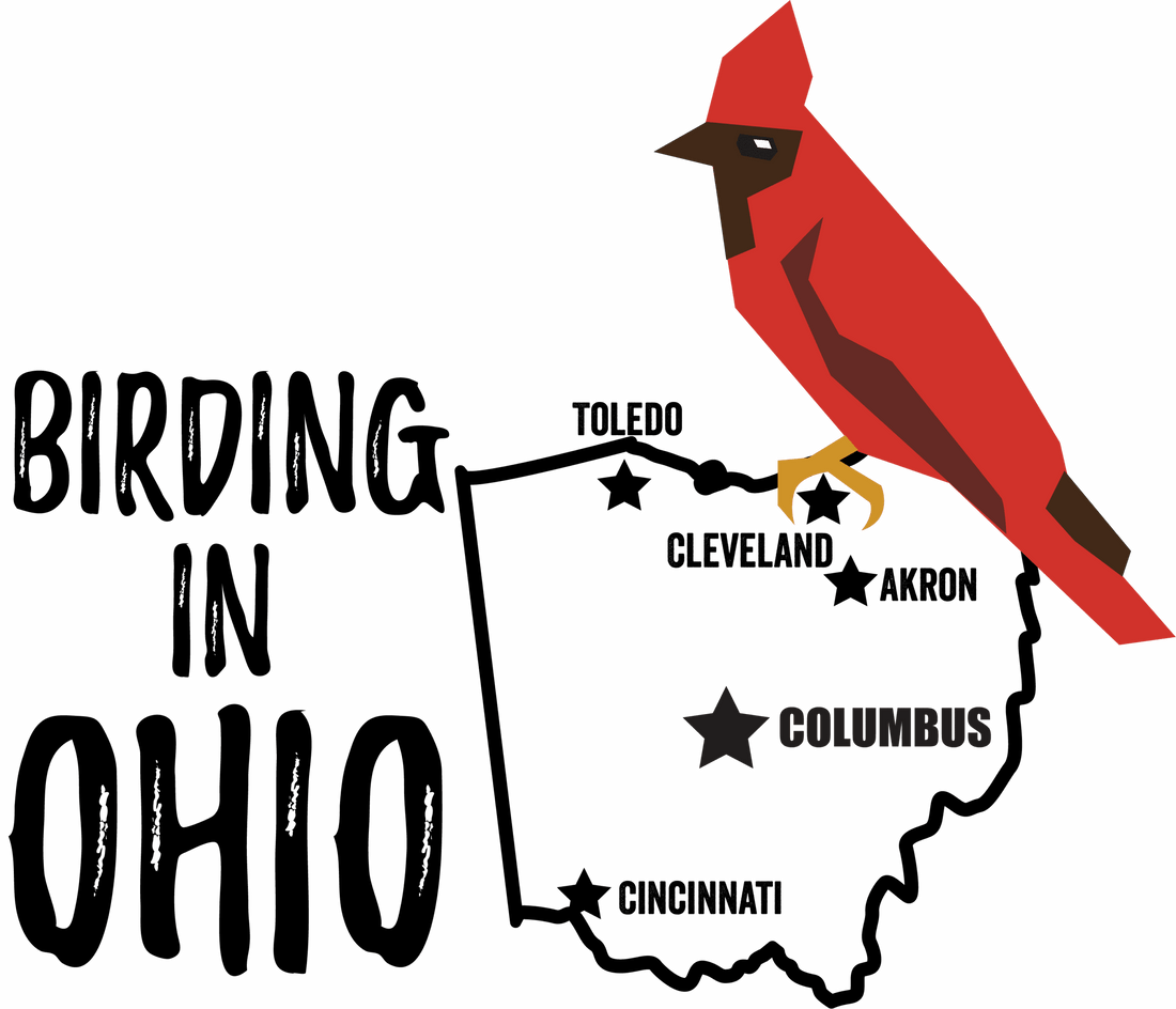 Birds in Ohio