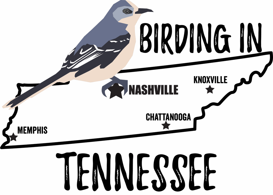 Birds in Tennessee