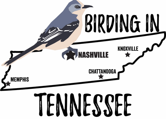 Birds in Tennessee