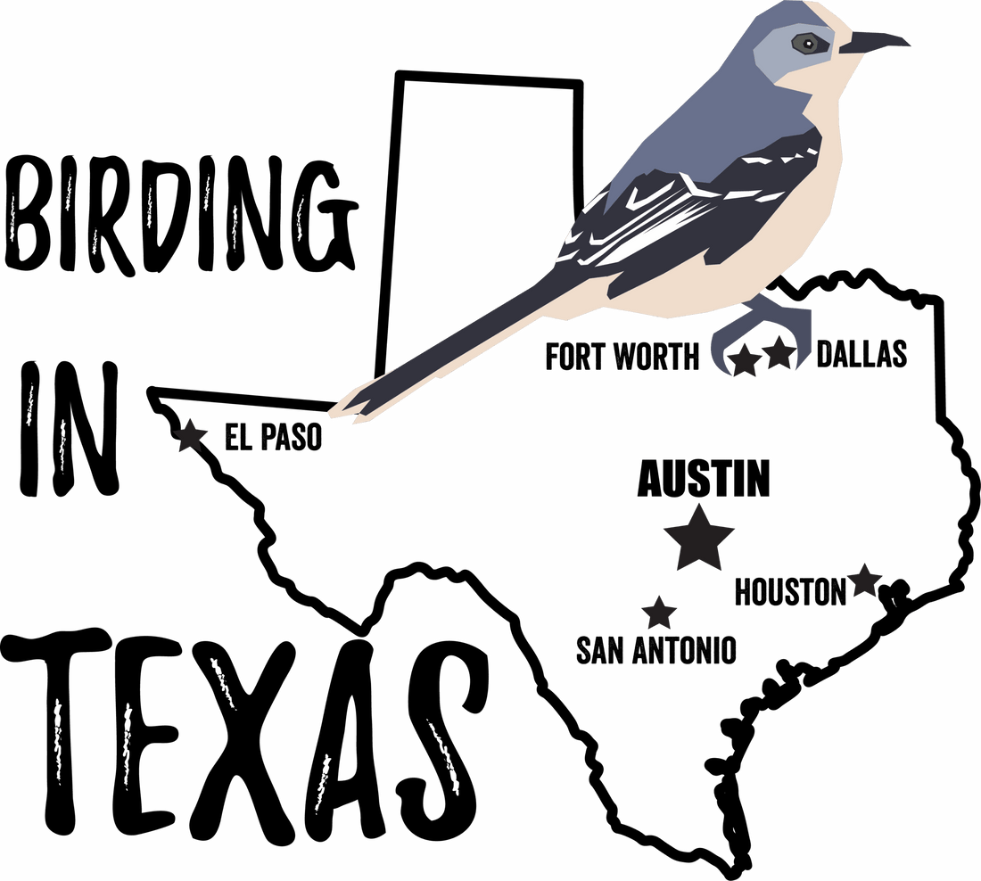 Birds in Texas