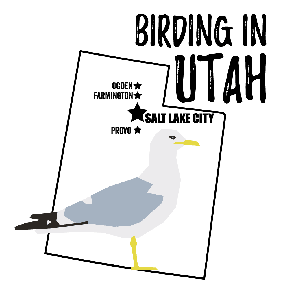 Birds in Utah