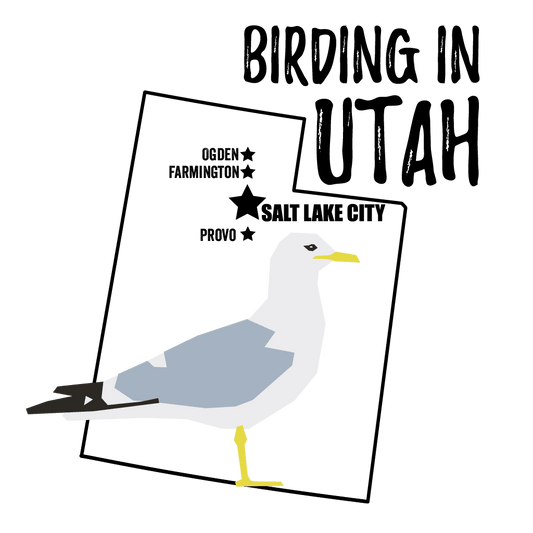 Birds in Utah