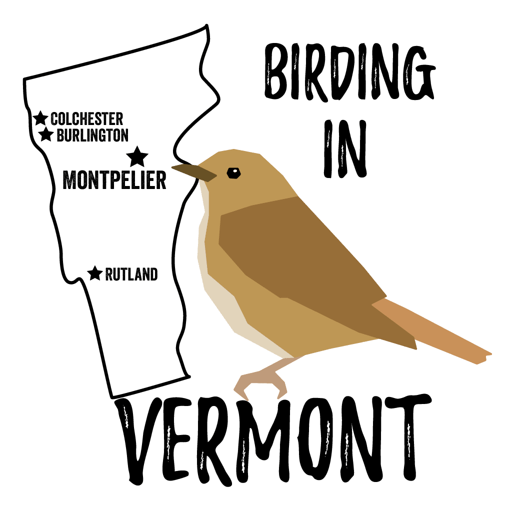 Birds in Vermont