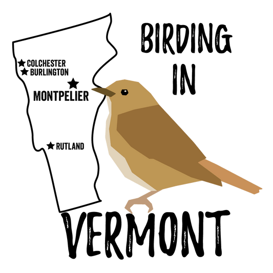 Birds in Vermont