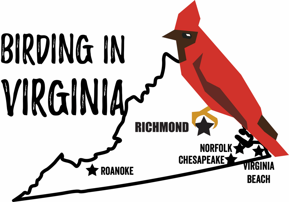 Birds in Virginia