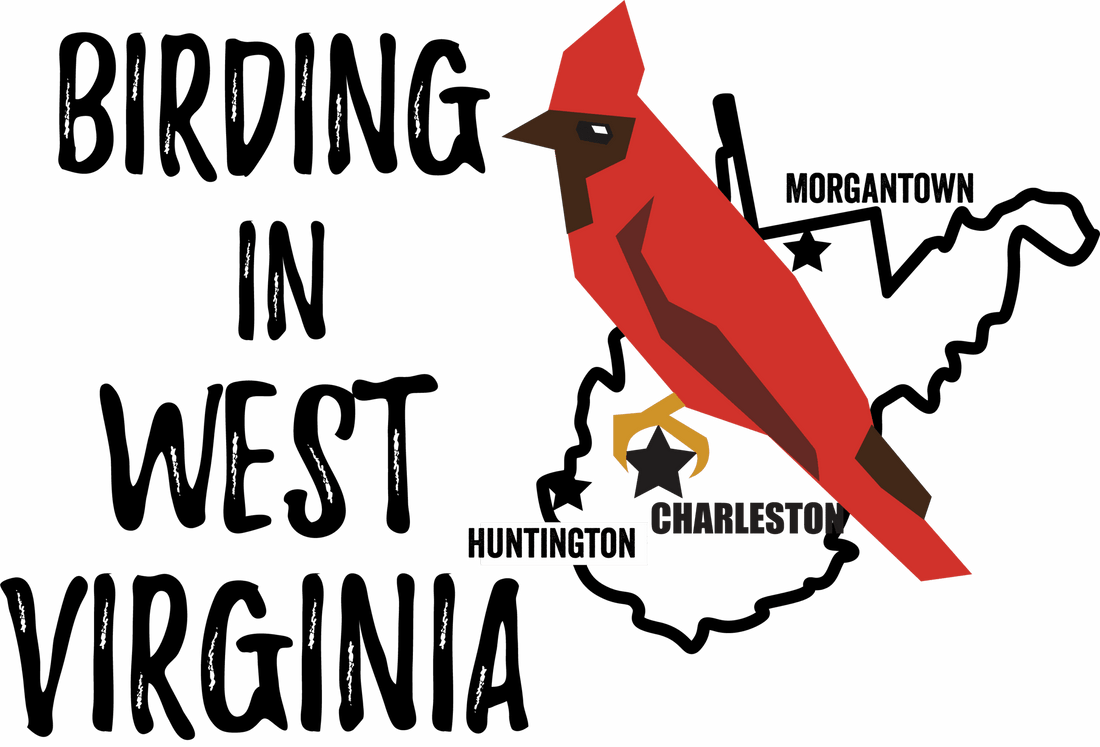 Birds in West Virginia