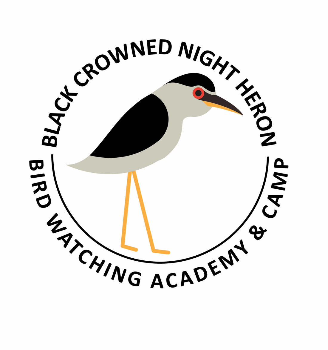 Black-crowned Night-Heron